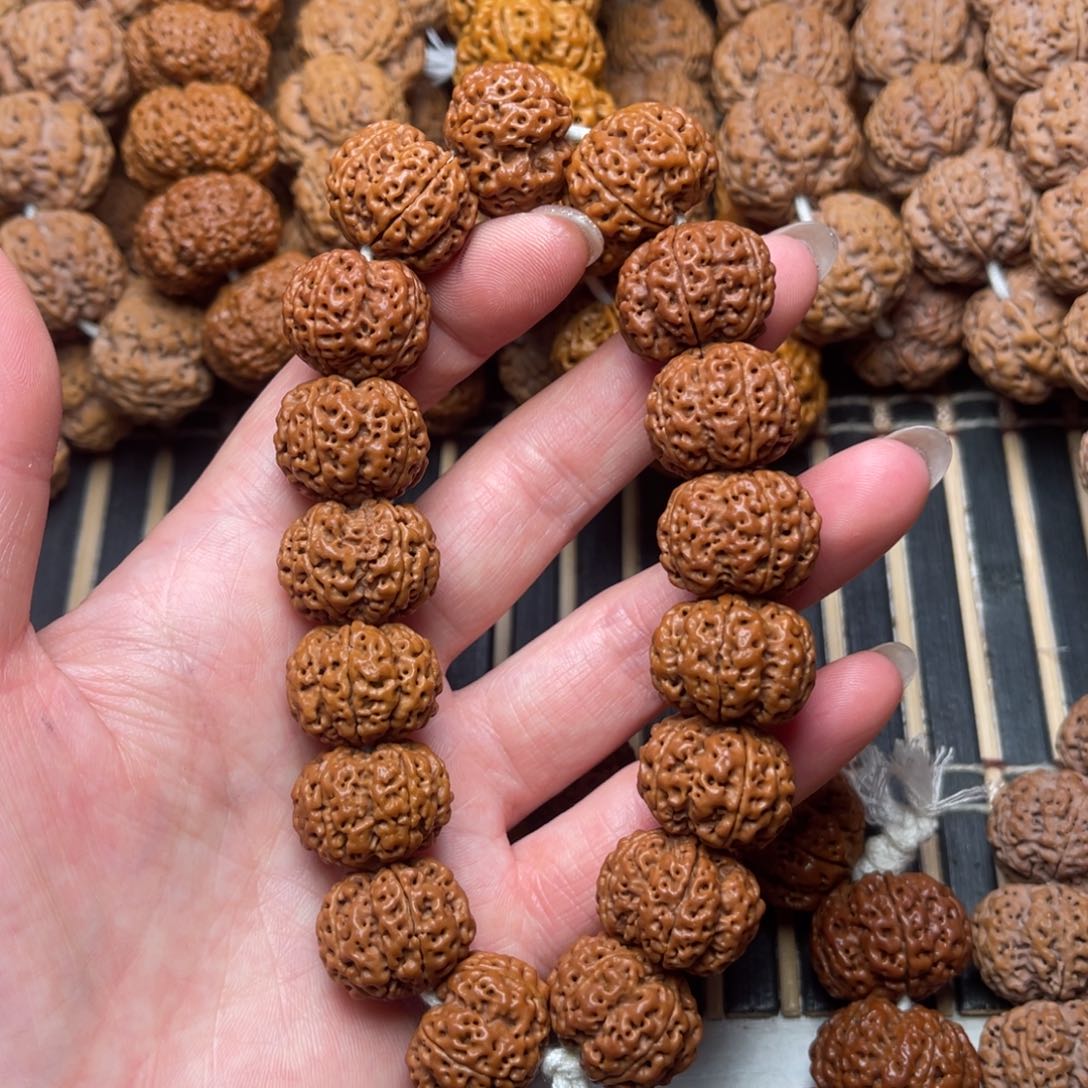 菩提尼泊尔大金刚爆肉爆肉梁梅花20