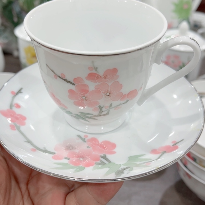 碟釉下五彩的瓷器和瓷器