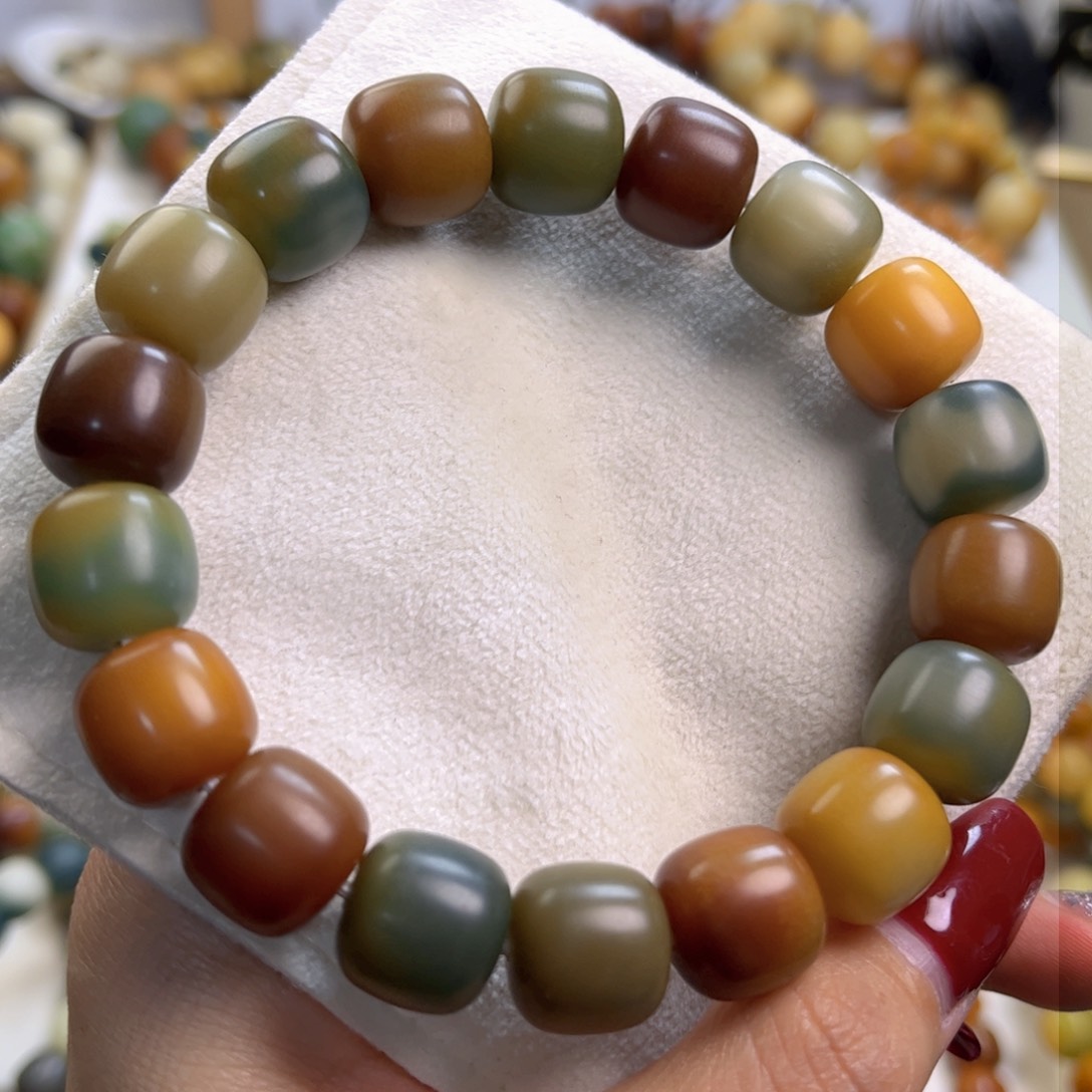 菩提根/象牙果手串新款多宝