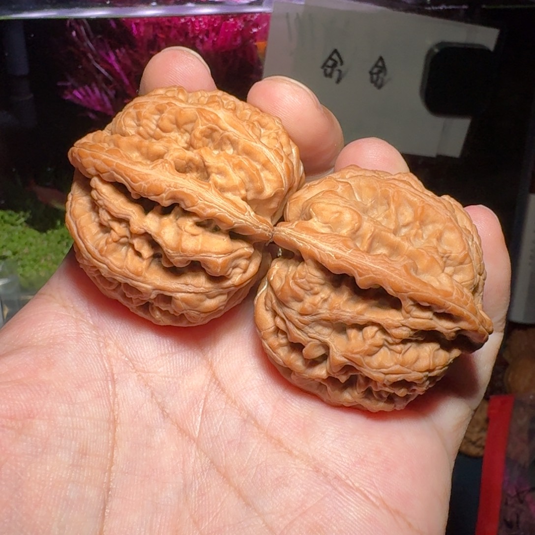 核桃把件106大粗筋，尺寸44 43 41