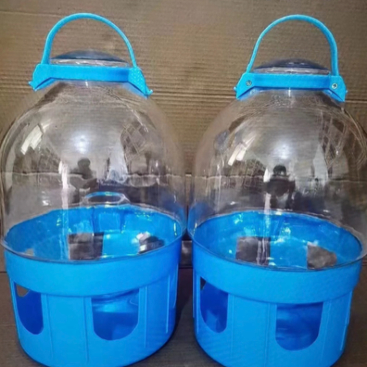 鸽子蓝色大把手透明水壶工具养鸽子饮水鸽子饮水器鸽子专用喝水