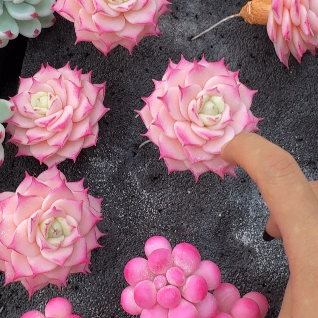 树脂制品6号噢噢噢噢