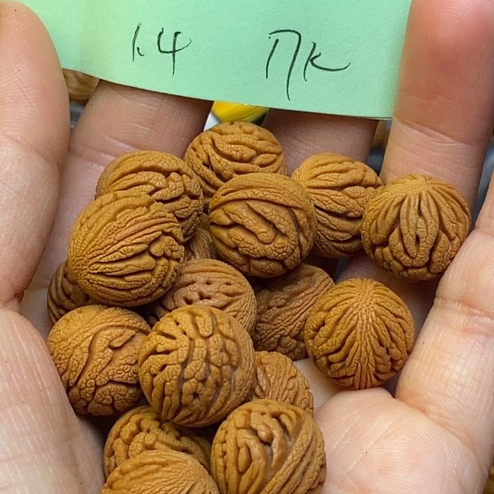 吊坠桃核秦岭龙纹桃核14尺寸