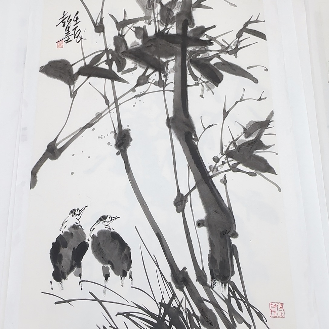 用***3国画郑志超精品软片