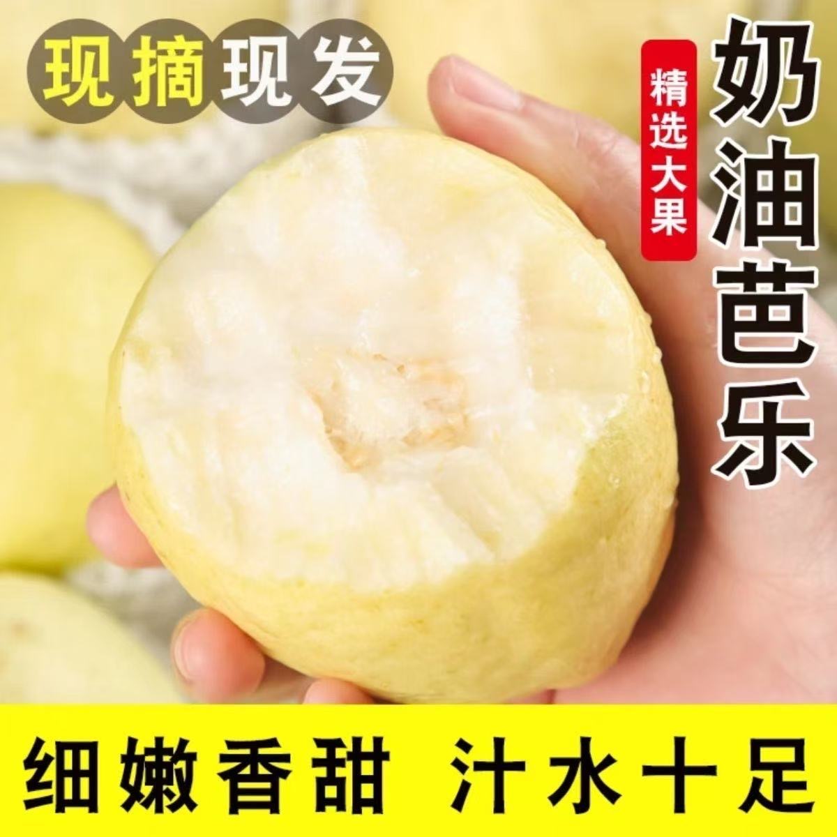 【奶油果王】正宗广西白心芭乐当季番石榴清脆香檽甜鸡屎果孕妇水果