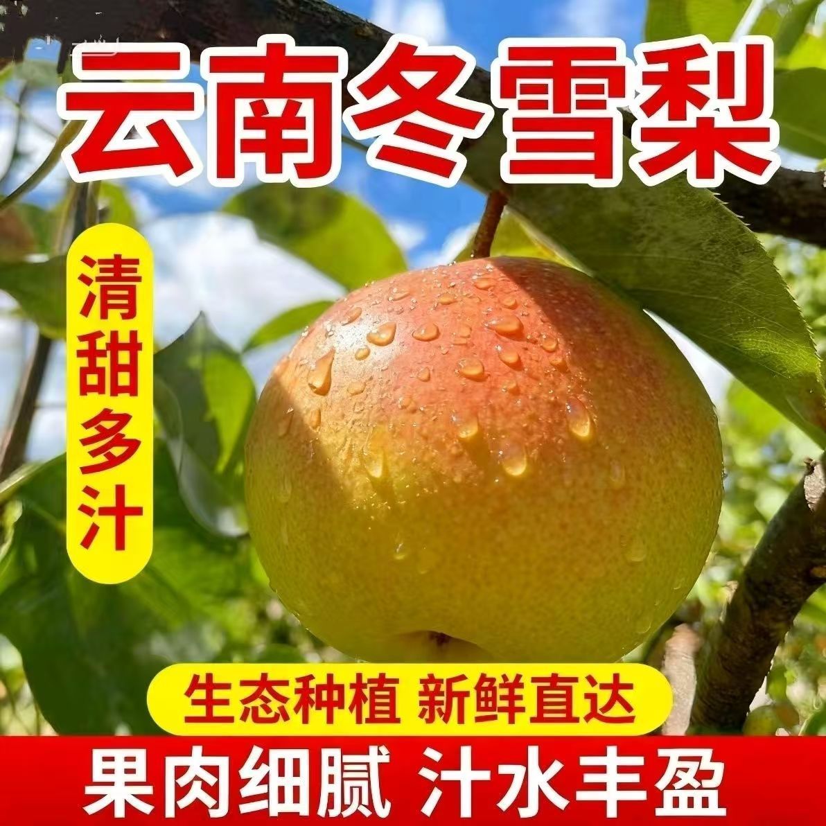 云南大理红雪梨酥梨雪梨批发新鲜水果当季整箱批发薄皮多汁脆甜