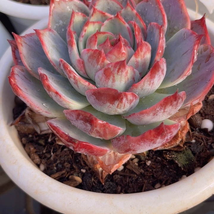 11////////////////：：