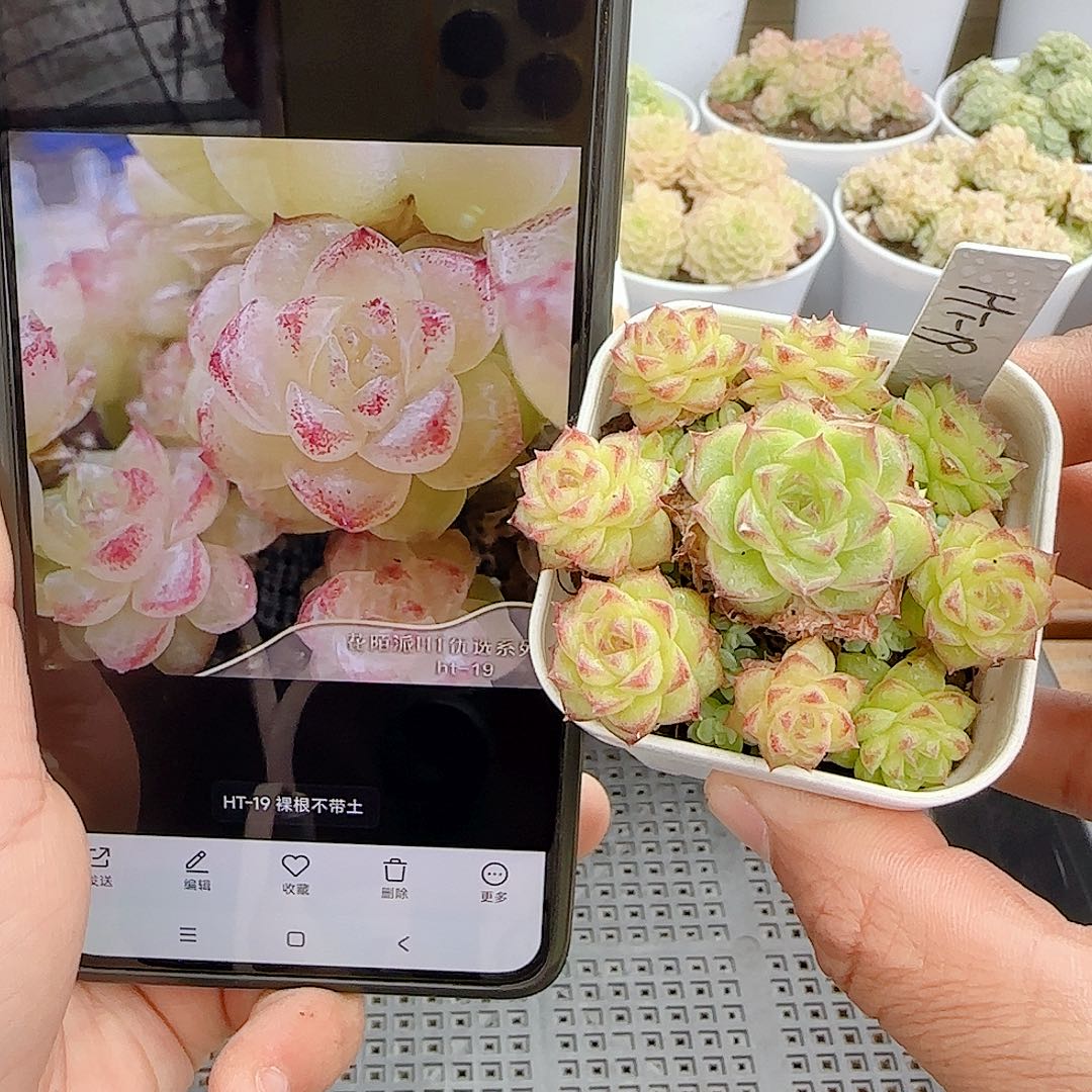 1108-83（ht-19）优选