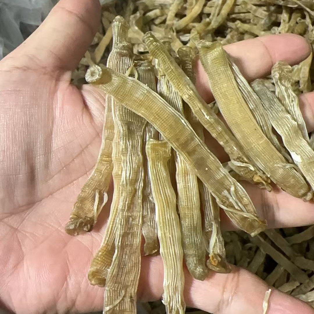 北海沙虫干黄沙虫煮粥煮汤鲜甜可口烧烤下酒菜
