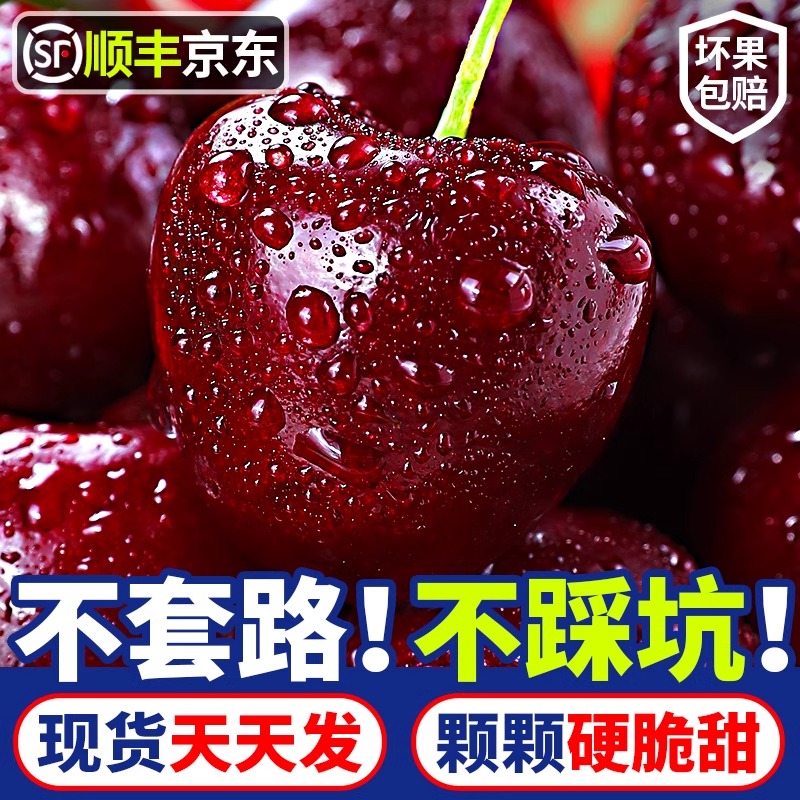 3JD果王加大【顺丰京东今天拍明天到】智利进口海运车厘子净果800g鲜宝宝孕妇内附果径卡LLF桑提娜智利共和国