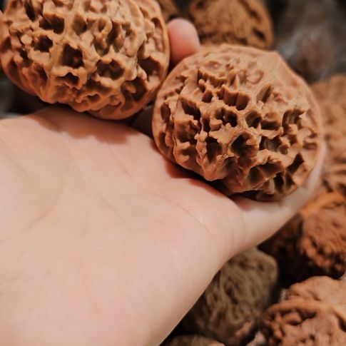 吊坠文玩核桃52帝王