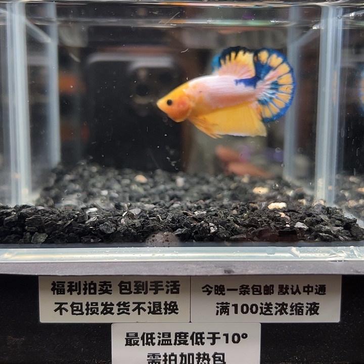 斗鱼跑单拉黑11日100