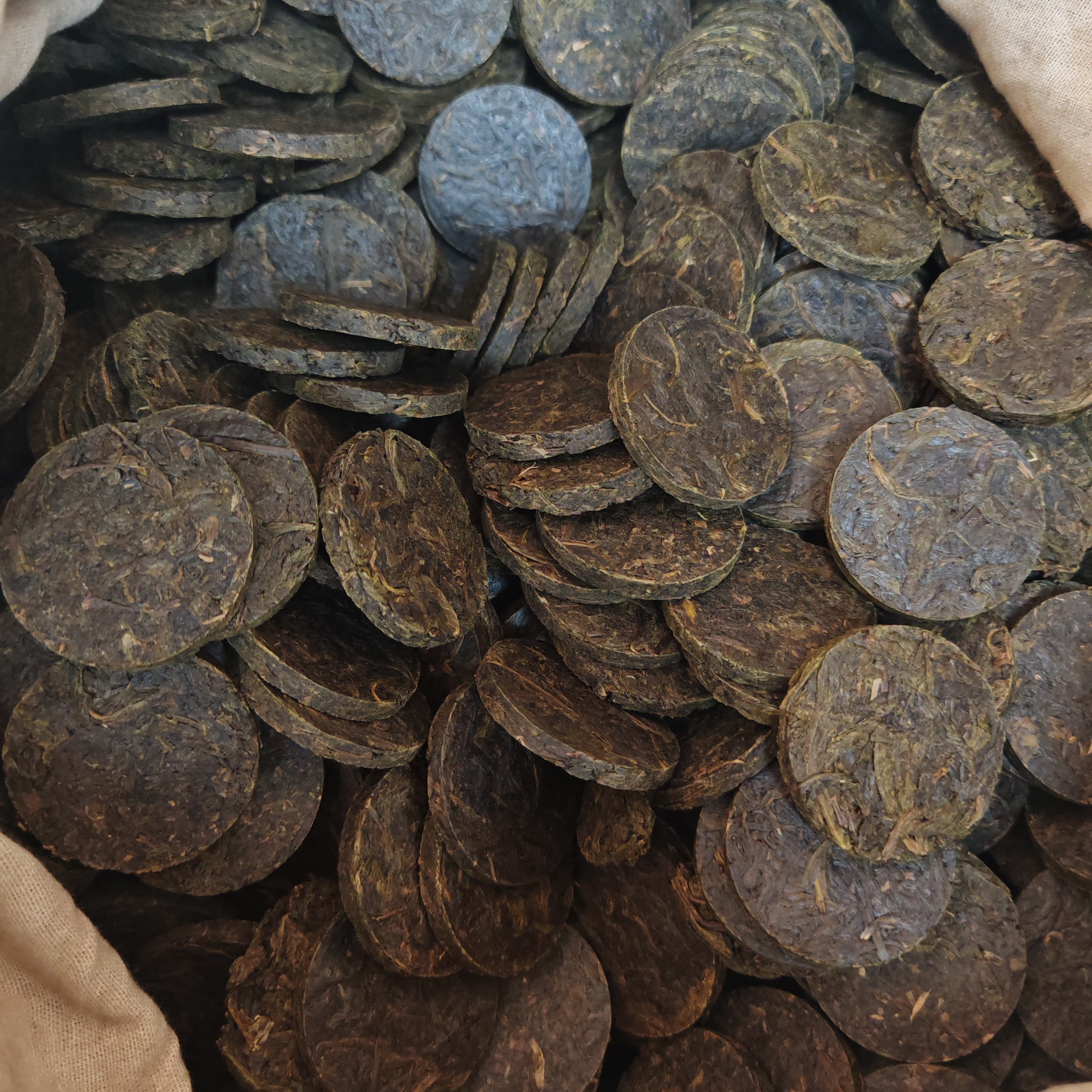 安化黑茶春季天尖原料2019 年大渥茯薄片2025 年出厂(过秤卖)