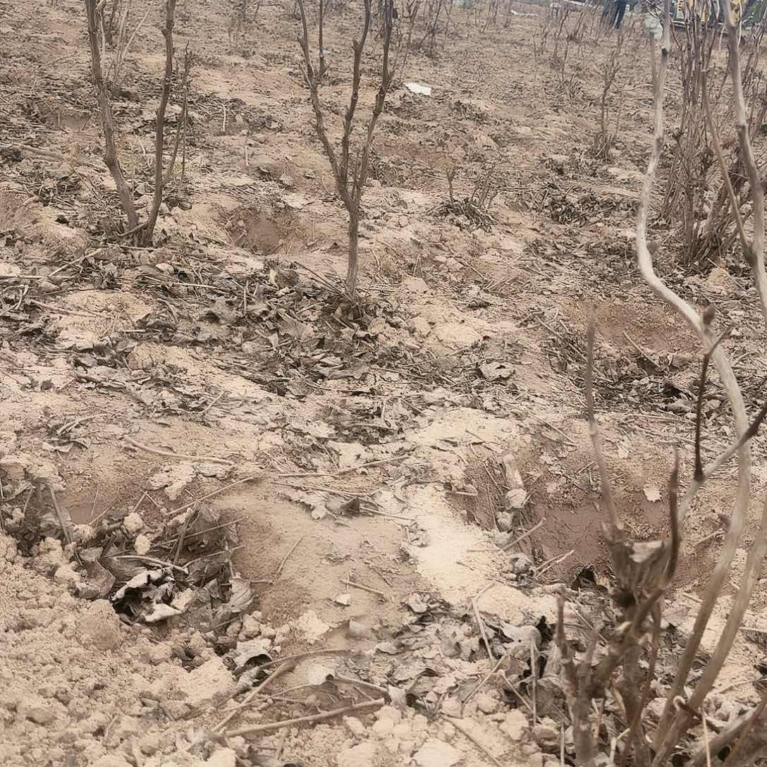 完全开放11111111111111