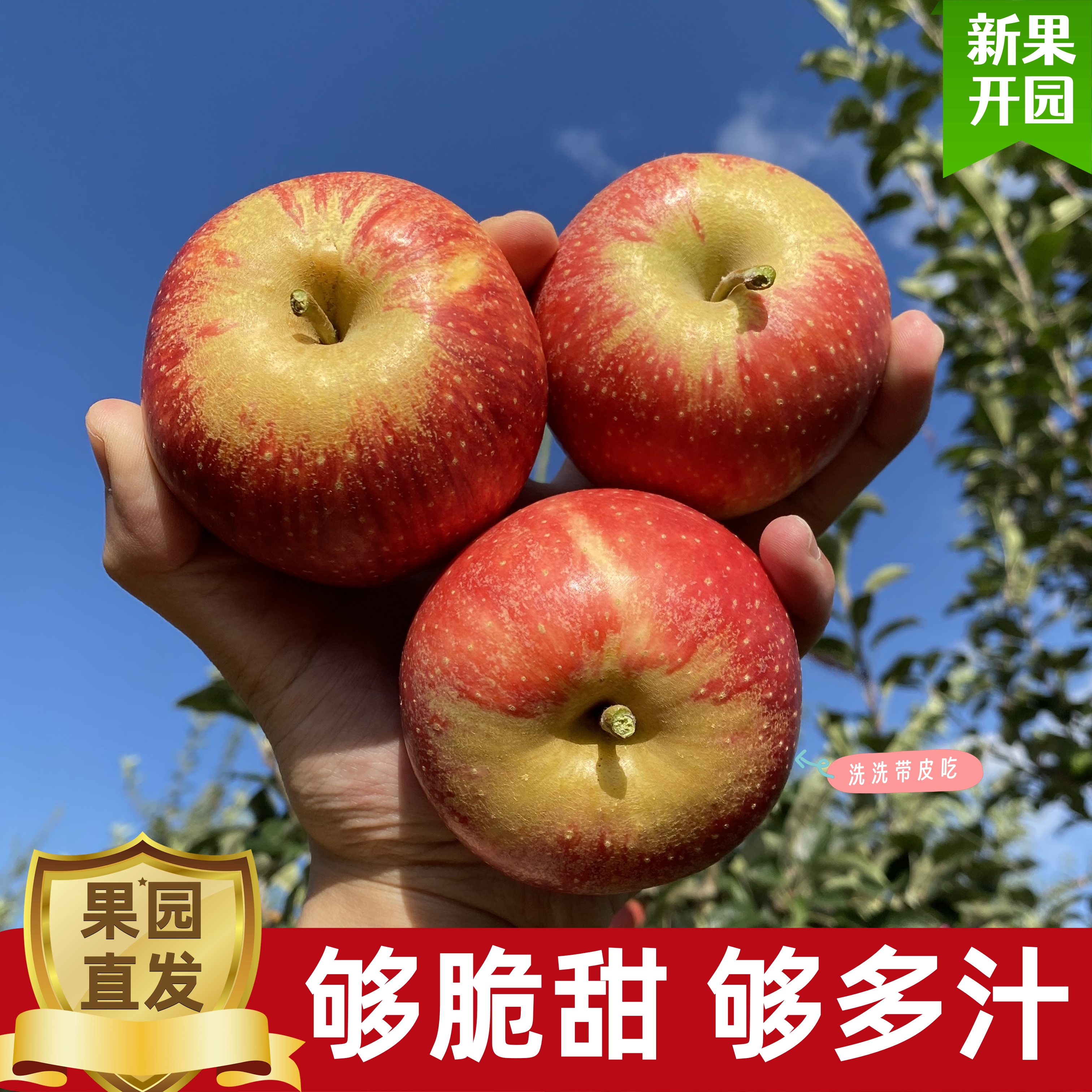 正宗云南昭通高原冰糖心丑苹果当季新鲜水果产地现摘现发10斤净重