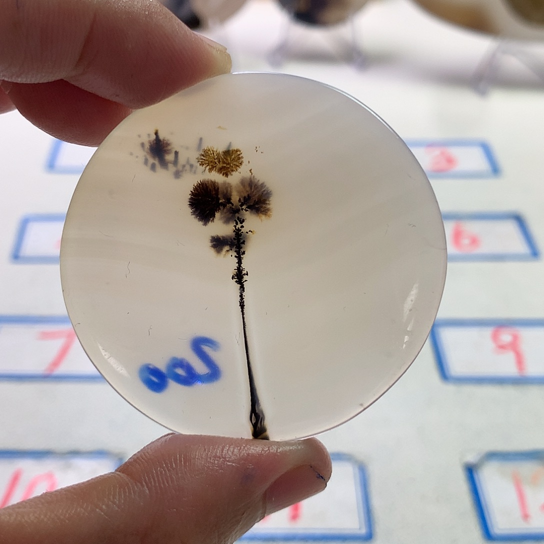 大***布未镶嵌玛瑙/玉髓珠宝半成品