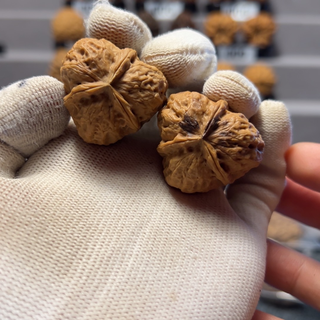 文玩核桃把件云南铁核桃15