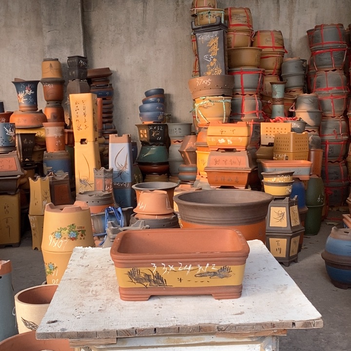 紫砂花盆盆栽花卉苗木种植