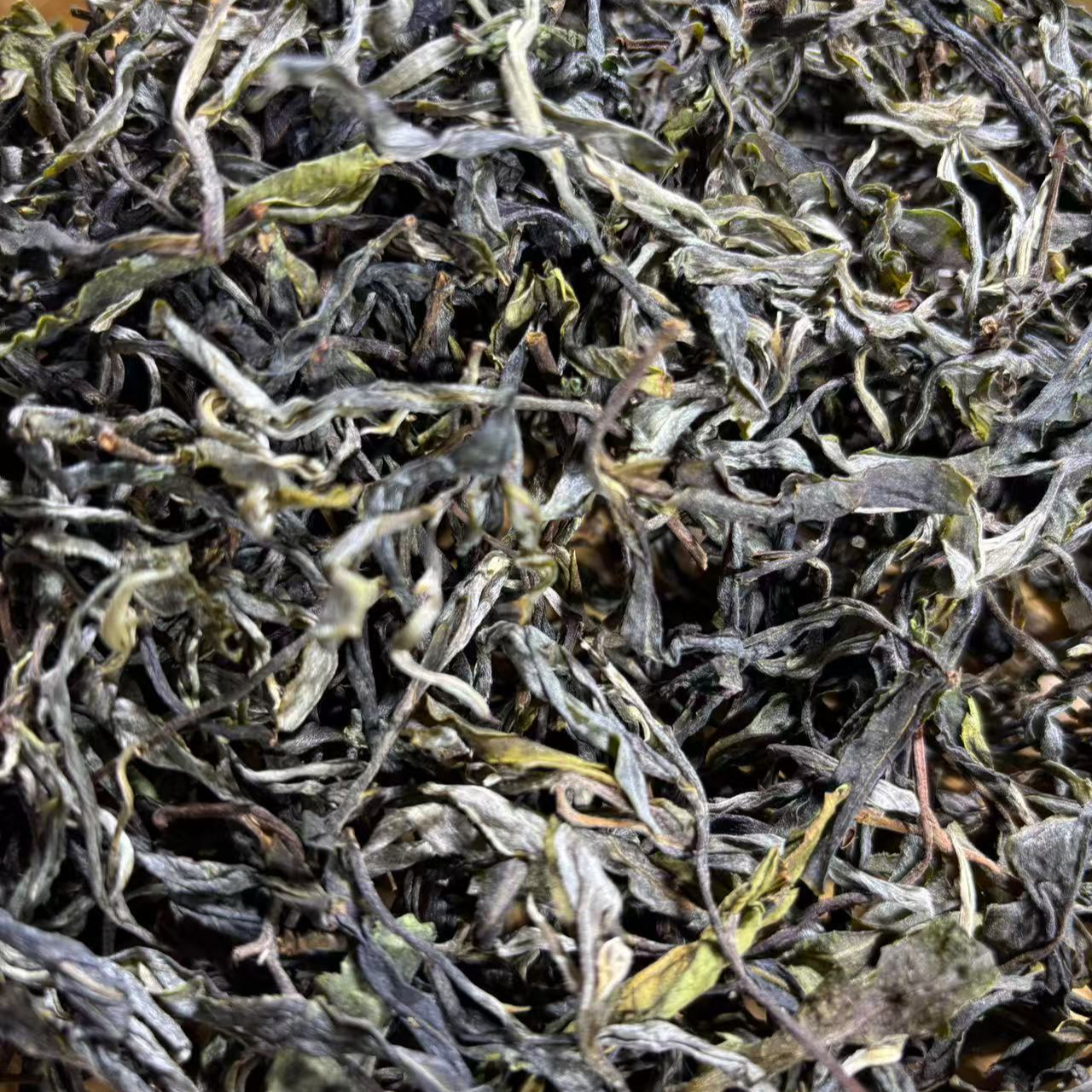 小攀家的茶-临时通用链接8克
