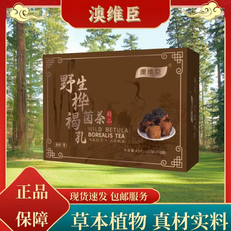 西藏桦褐孔菌  家中常备 