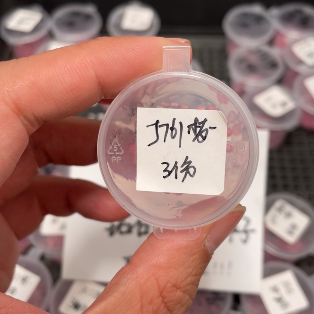 j761珍妮✖️梦露20粒