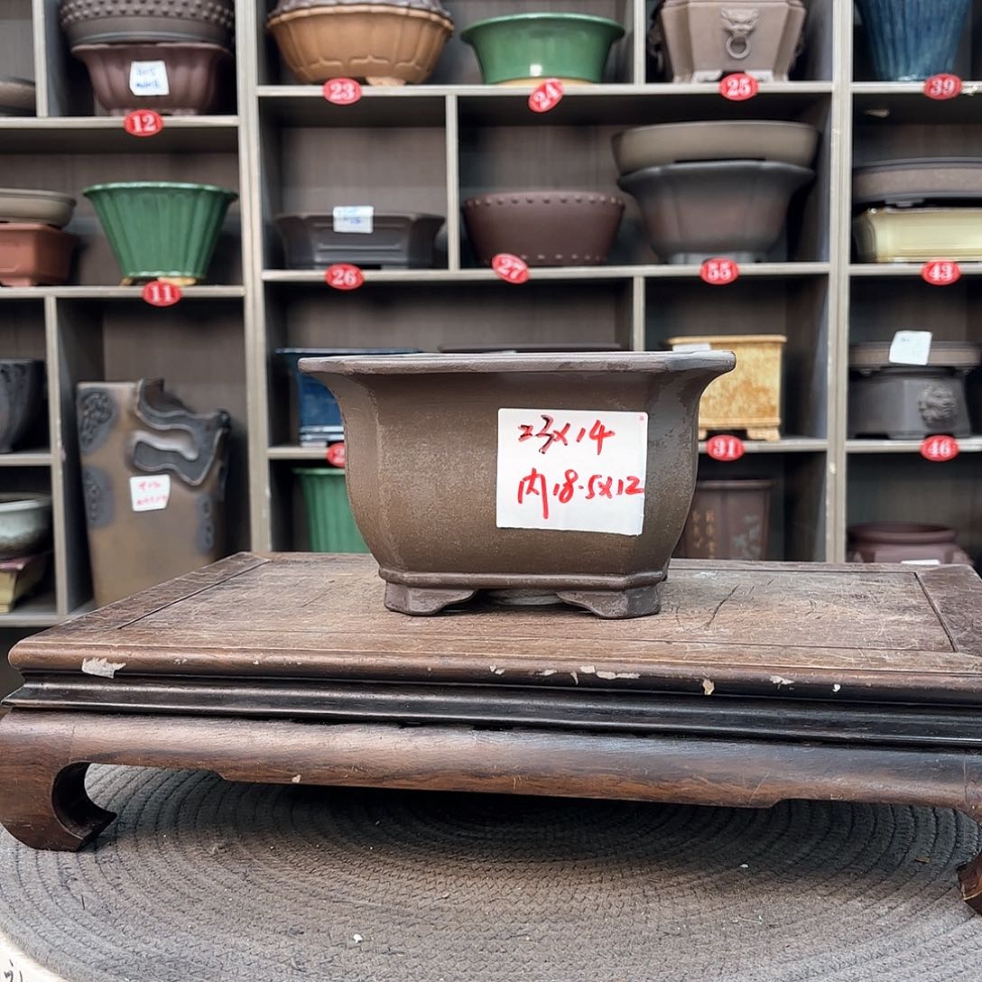 紫砂花盆紫砂的花也太