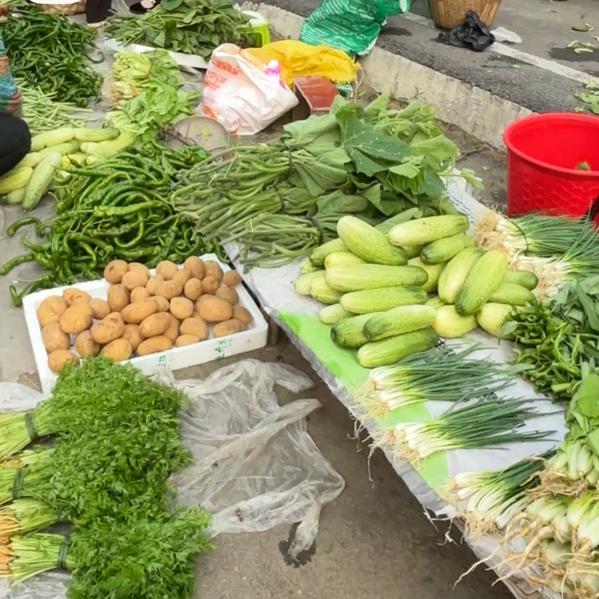 湘西赶集代购应季山货