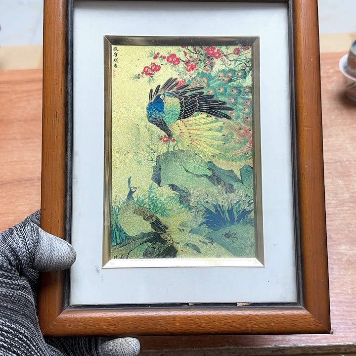 茶宠青云店店长告诉我们你