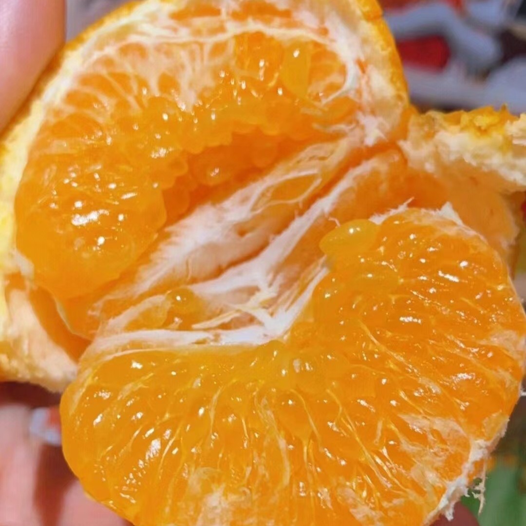 【咸宁小时达】四川春见粑粑柑1斤/5斤四川省