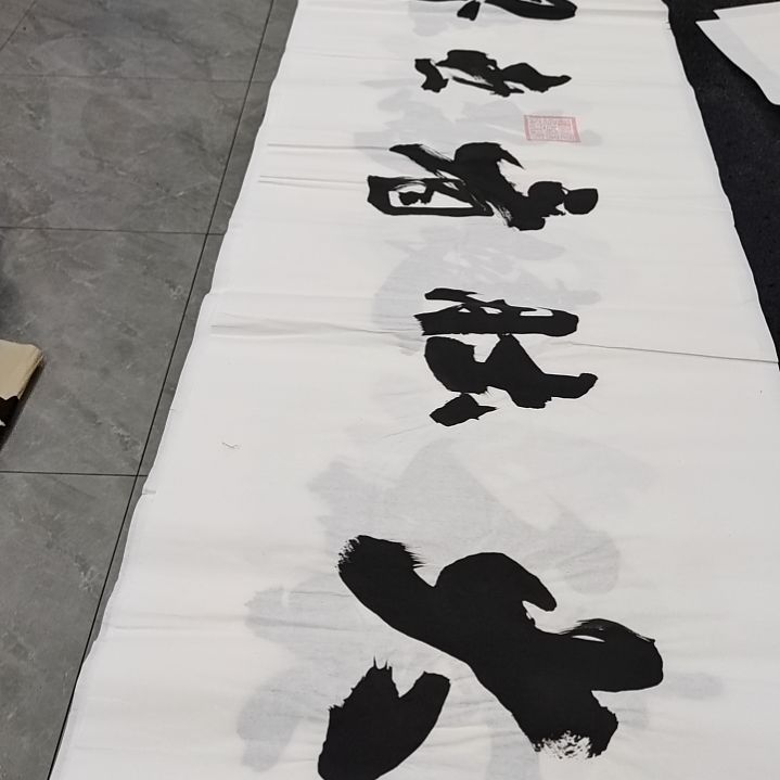 翰墨申国栋老师作品