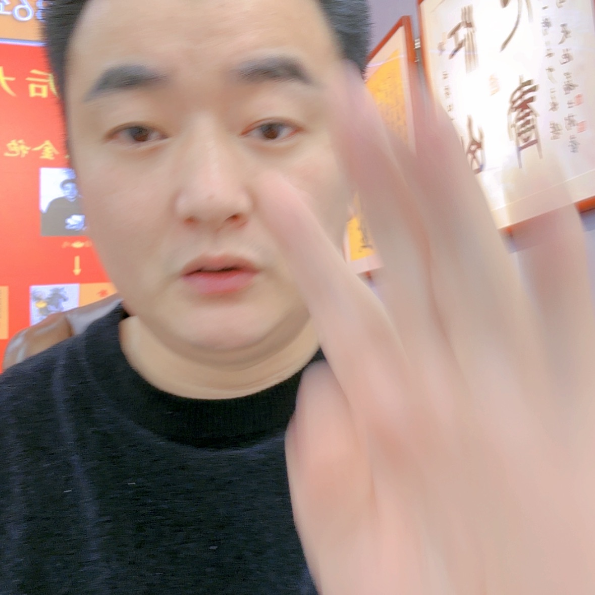 【闪购商品】国画书法作品欣赏，书法作品欣赏，书法