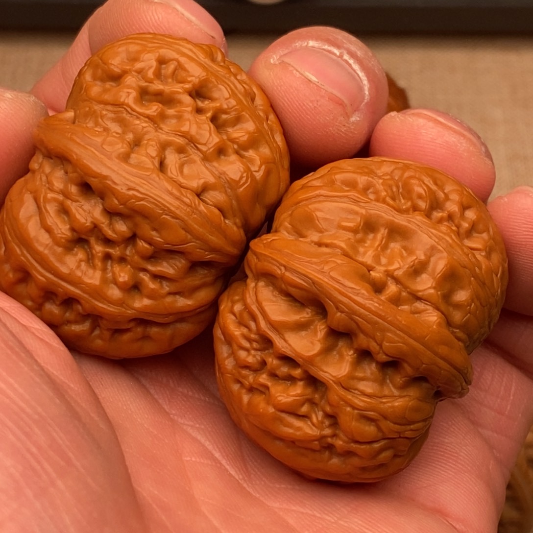 臭***学元宝元宝元宝元宝