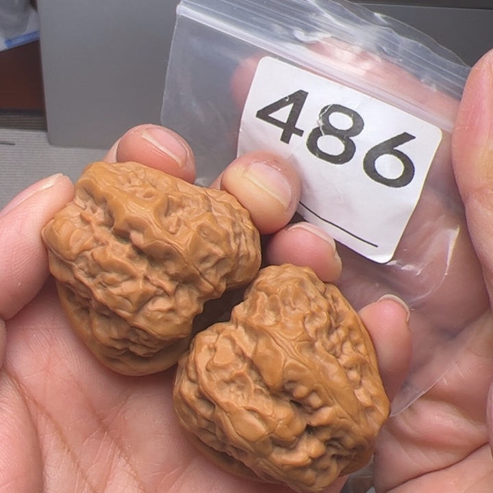 核桃38边42肚486号