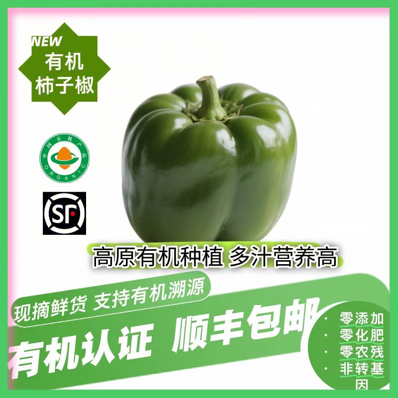 新鲜现摘有机天然青椒圆椒有机认证无农残无激素