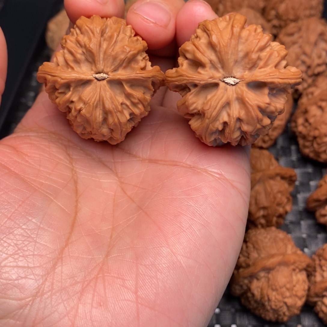 文玩核桃吊坠龙脊38