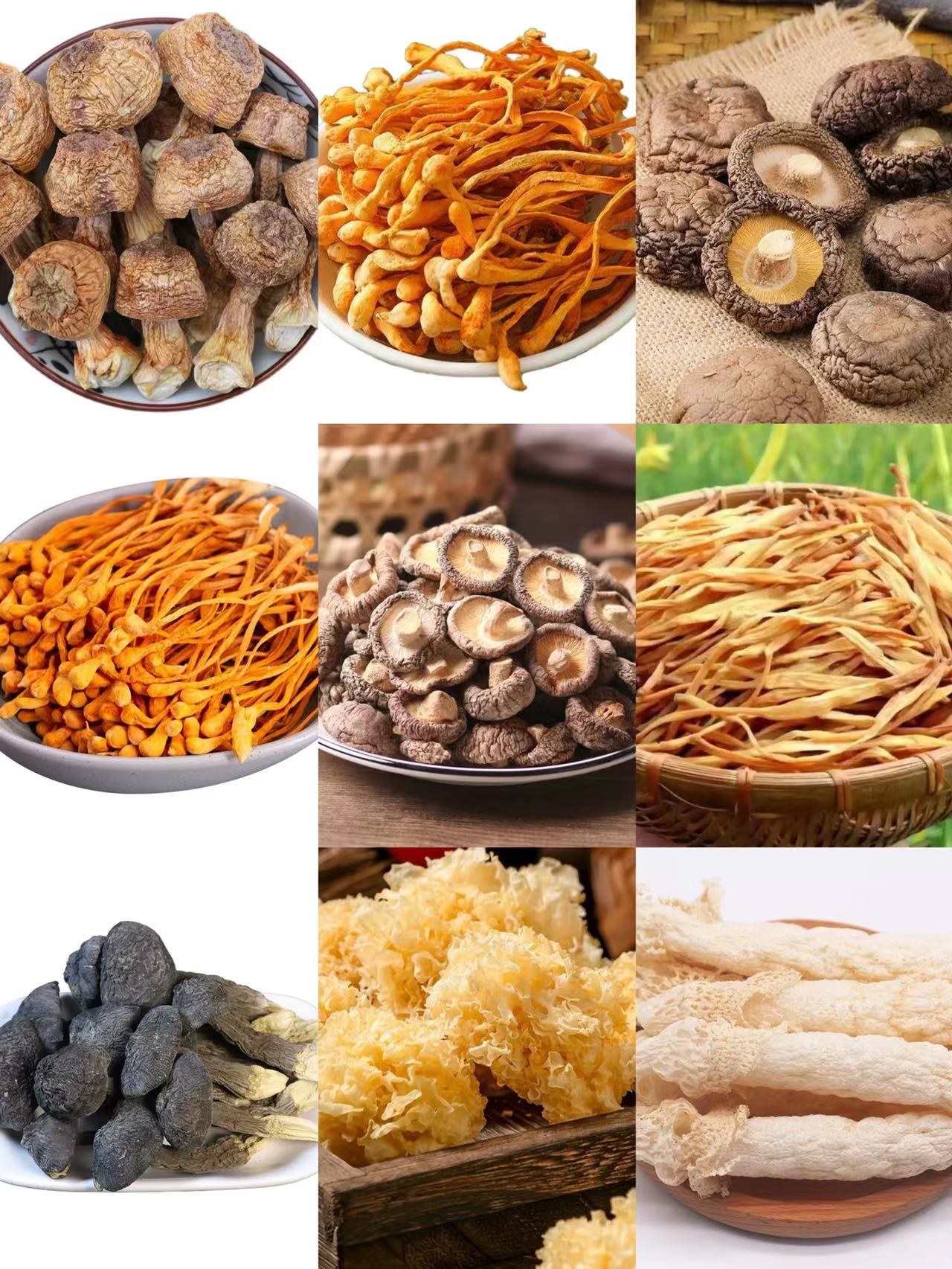 山货 】农家土特产非香菇（X）临时链接