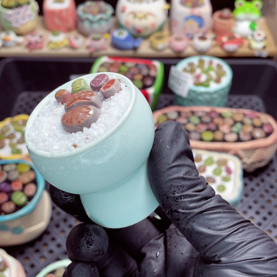 夜间零下地区拍保温箱w3528