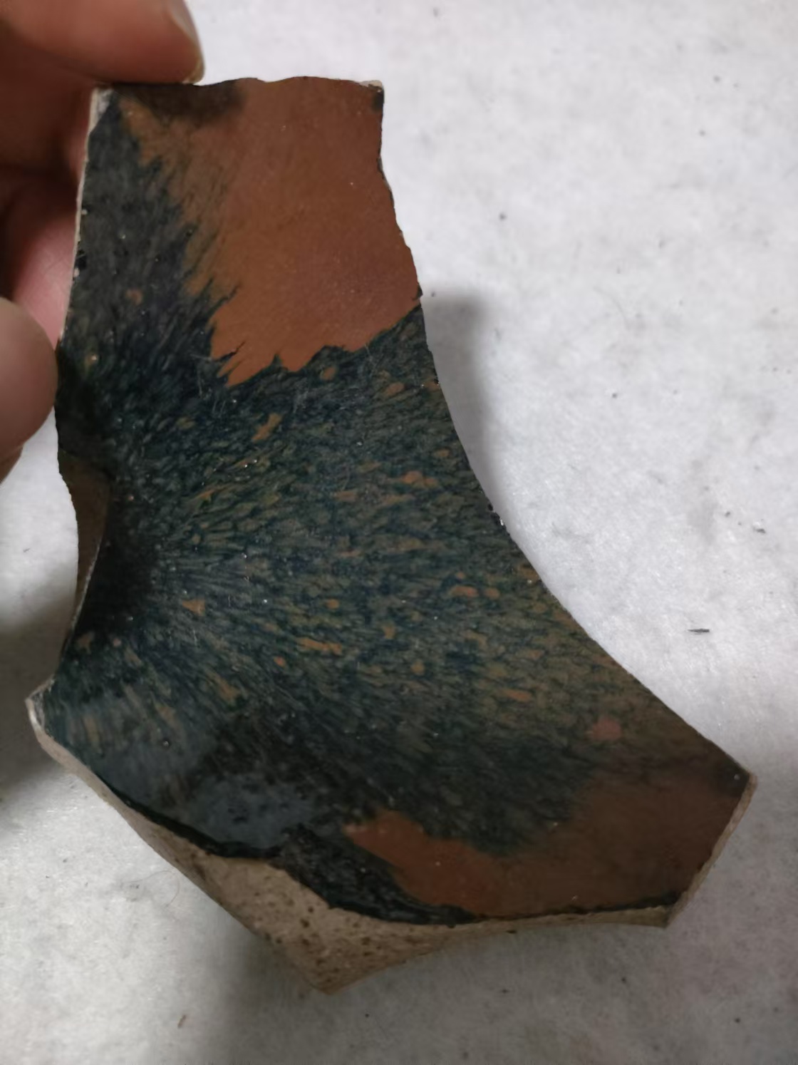 直播链接 请勿私拍 瓷片