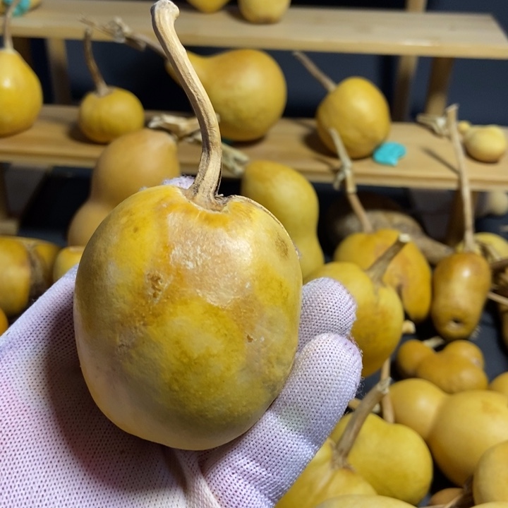 ?*葫芦葫芦天裂了