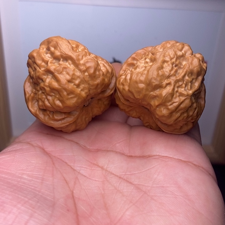 Q***q核桃小尺寸蛤蟆头