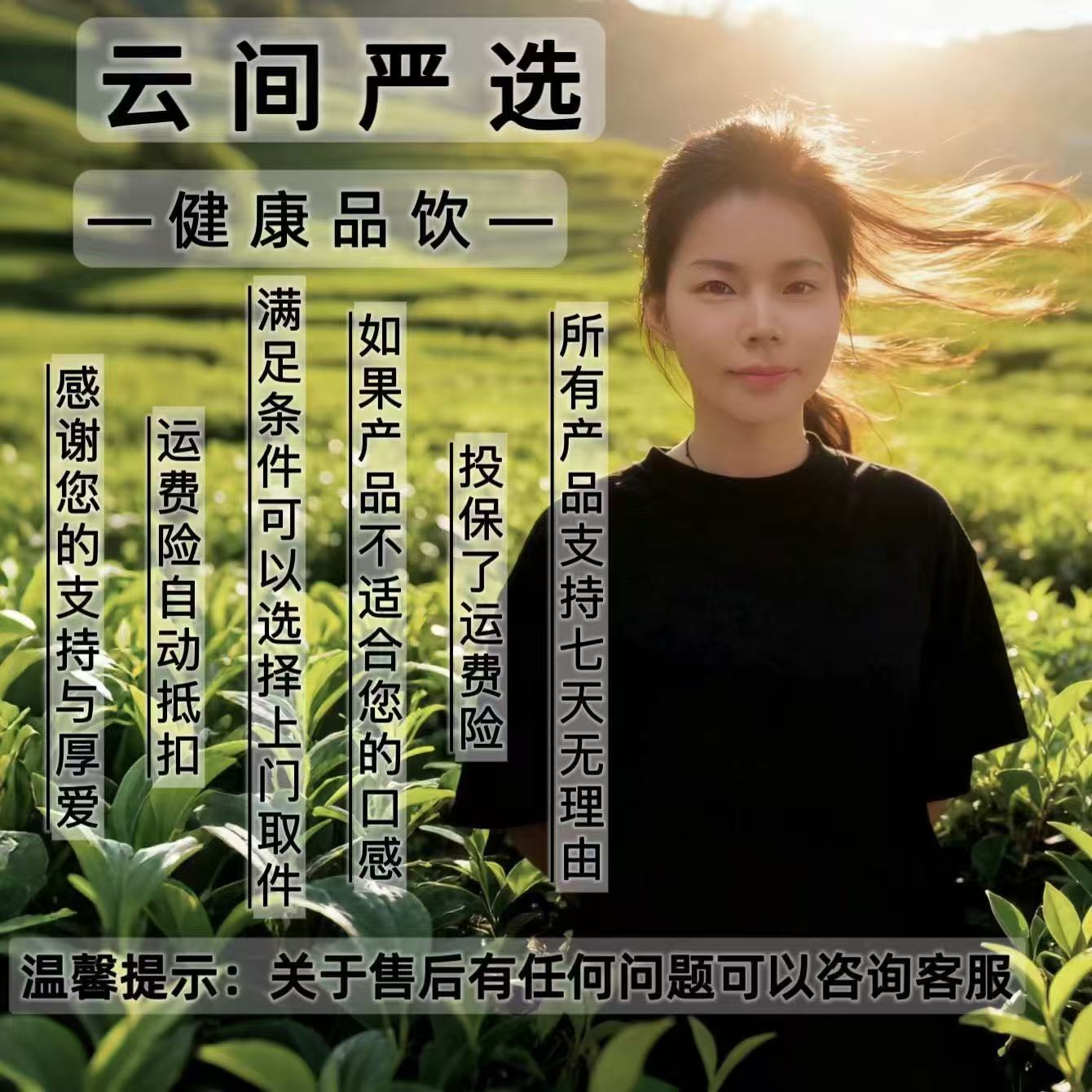 悬崖龙~鳞果   益身百搭茶