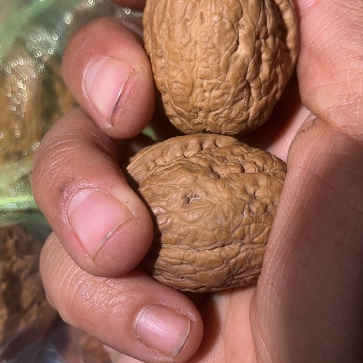 吊坠文玩核桃滇西122