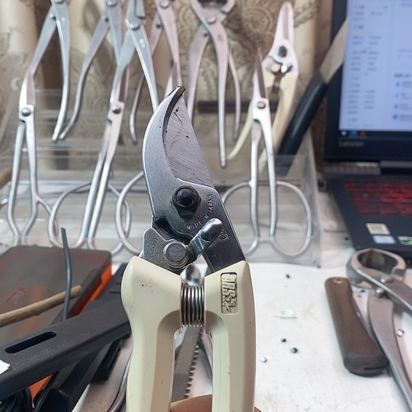 【闪购商品】爱丽丝130