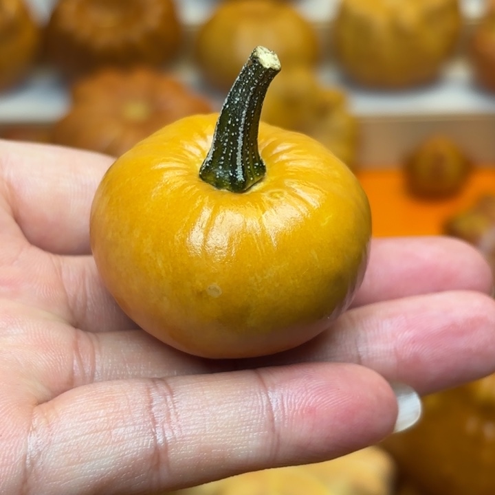 特价福利特价福利不退不换