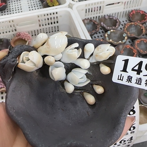 瓷片柴烧柴烧柴烧149