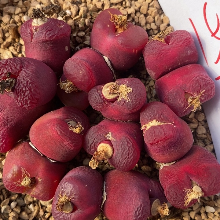 1543一组一组一组