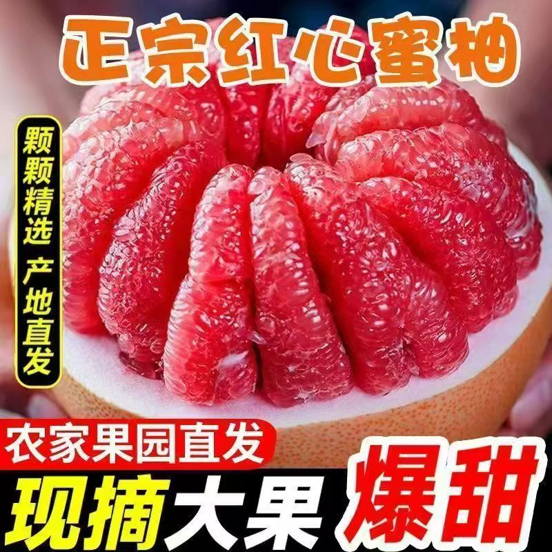 三红蜜柚 现摘现发 孕妇水果 当季新鲜柚子 酸甜多汁