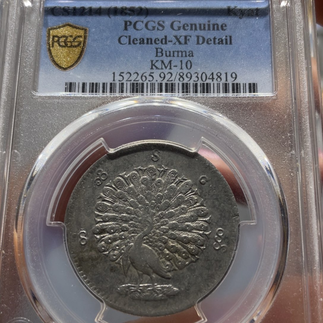 银Pc92小孔雀4819/神临钱币