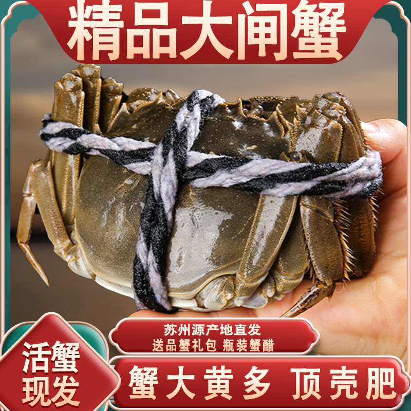 【新粉送四只】活蟹4.0-3.7两 8只/10只苏州精品大闸蟹纯母蟹礼盒装