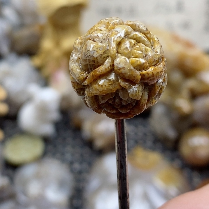 颈饰未镶嵌硅化珊瑚（珊瑚玉）